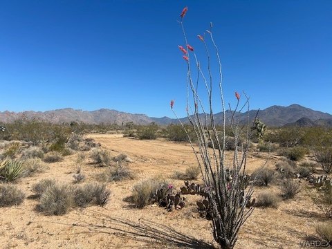 LAND - Yucca, AZ