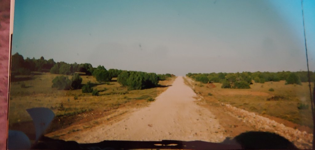 Picture 2