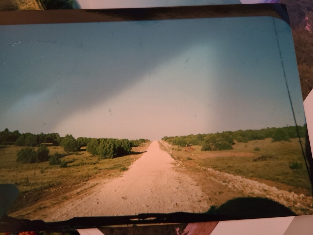 Picture 6