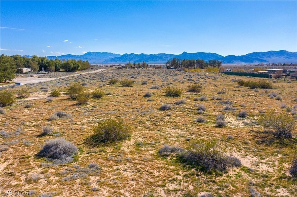 Picture 19