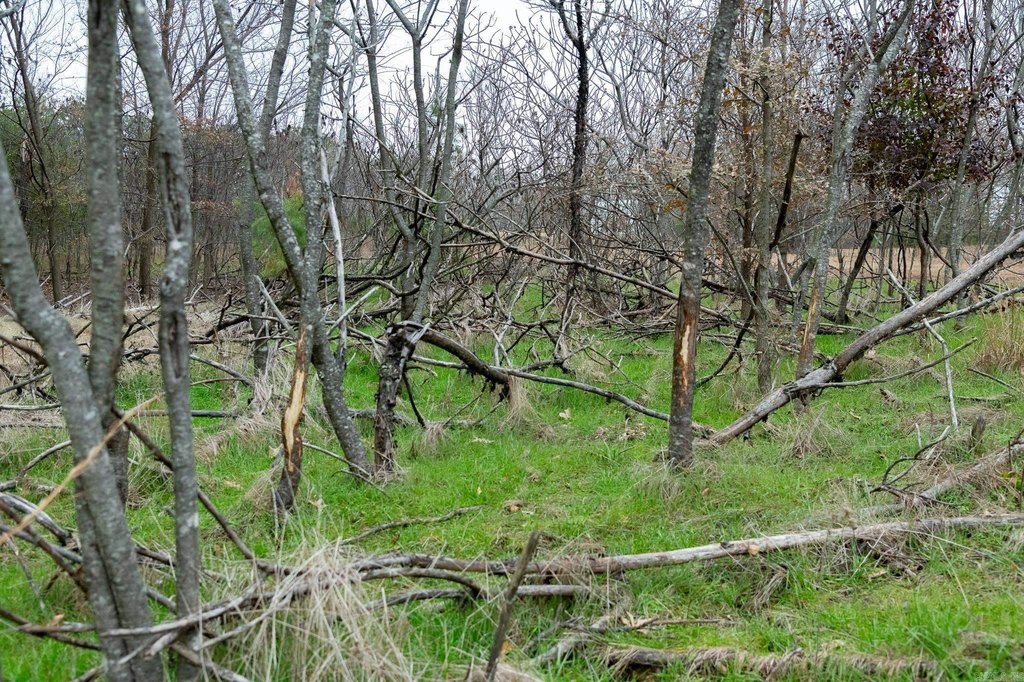 Picture 41