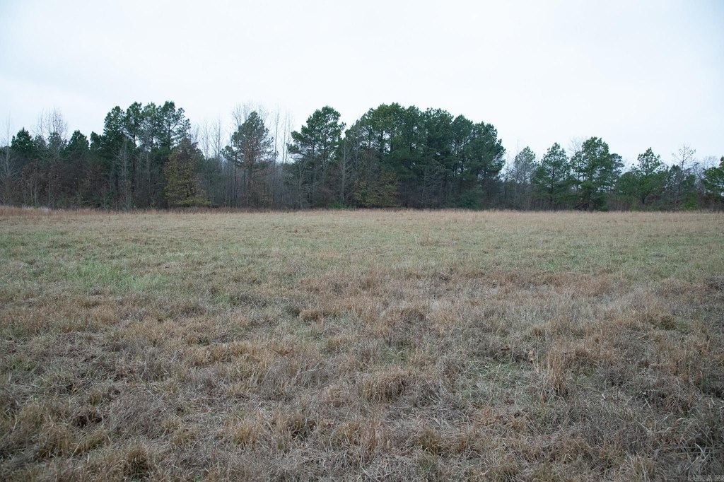 Picture 45