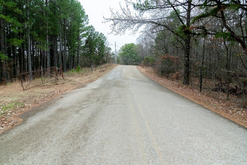 Picture 42