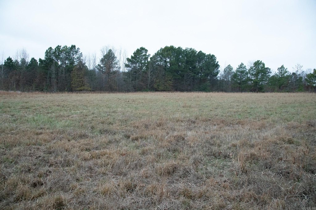 Picture 46