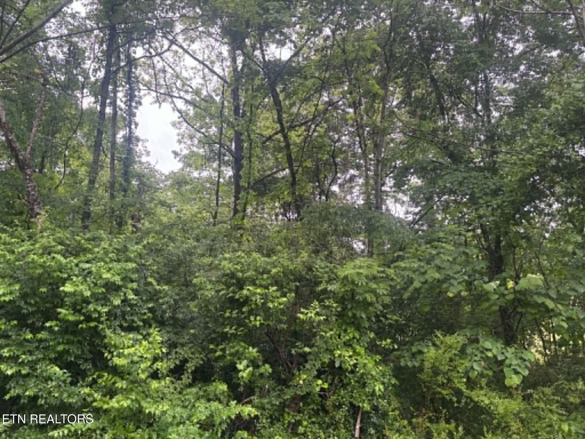 Unrestricted Acreage in Claiborne County