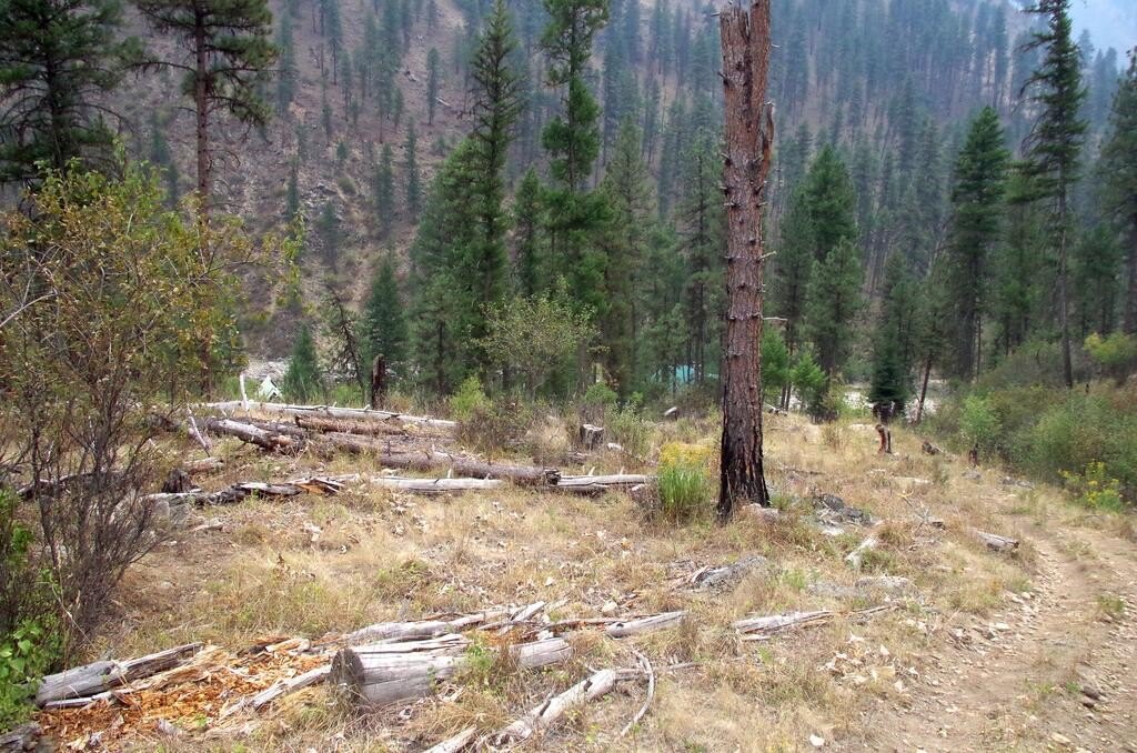 Picture 6