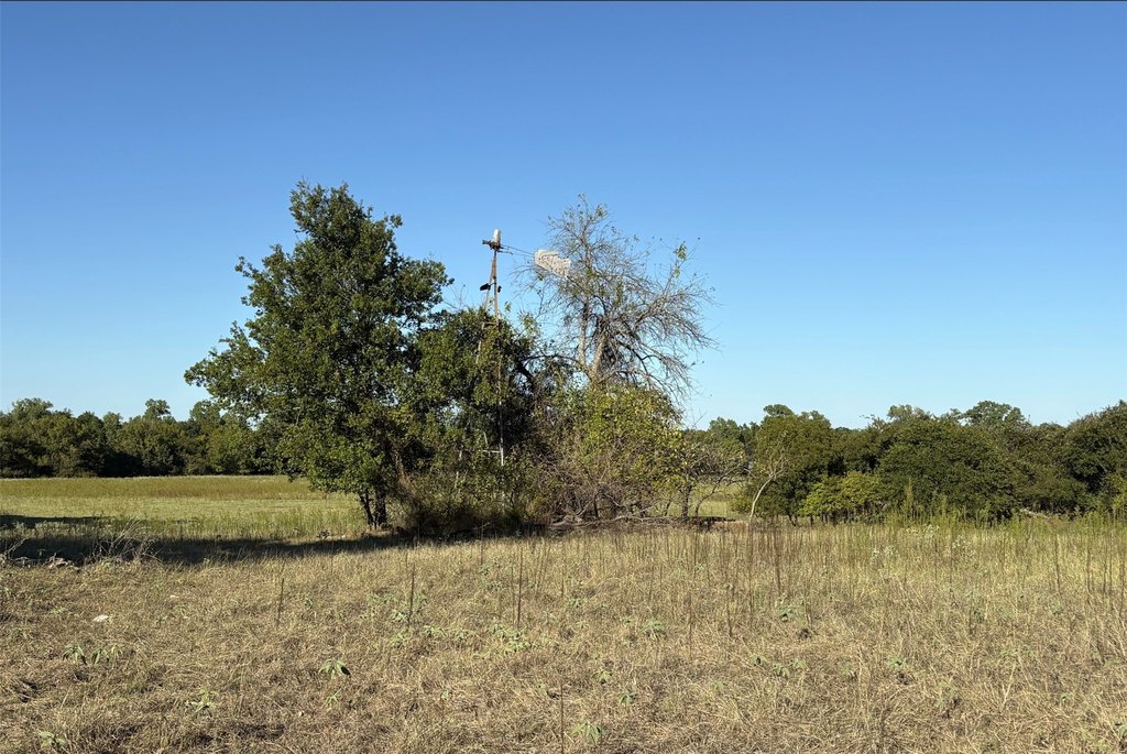 Picture 39