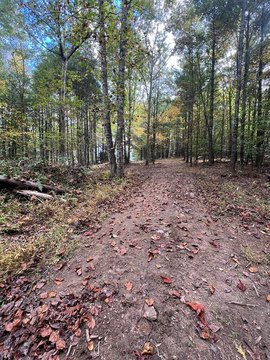 Wooded Acre Lot in Estates