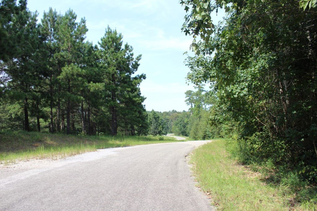 Picture 31