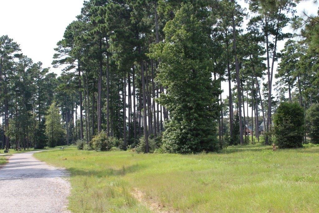 Picture 26