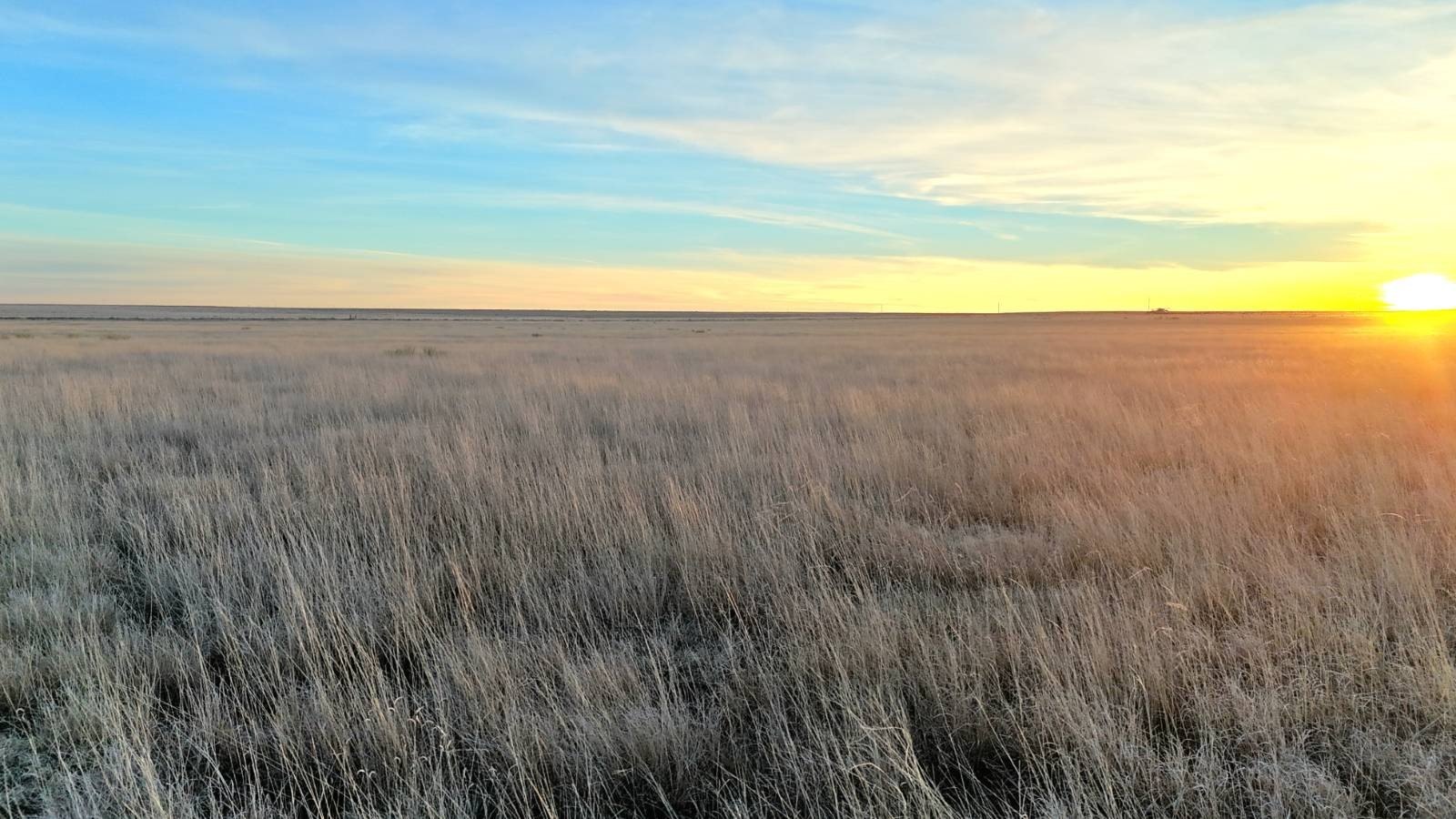 640 Acres of Vacant Land