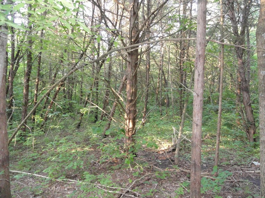 Picture 4