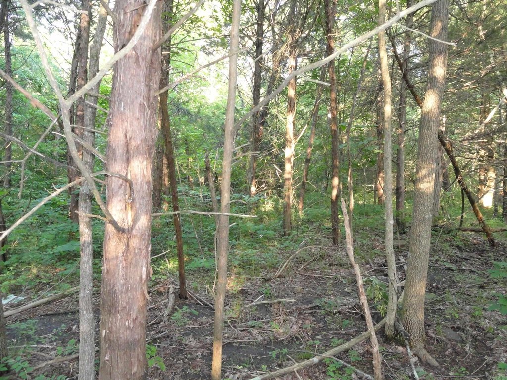 Picture 5