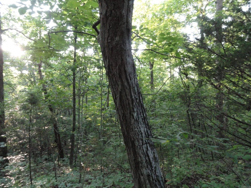 Picture 13