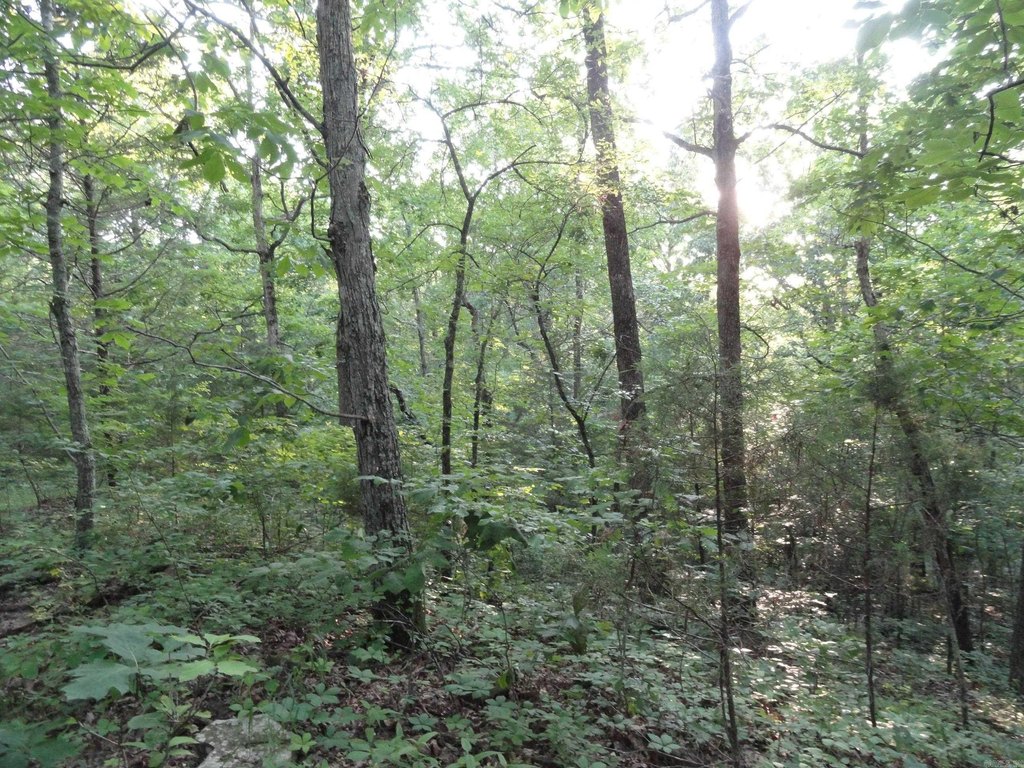 Picture 14