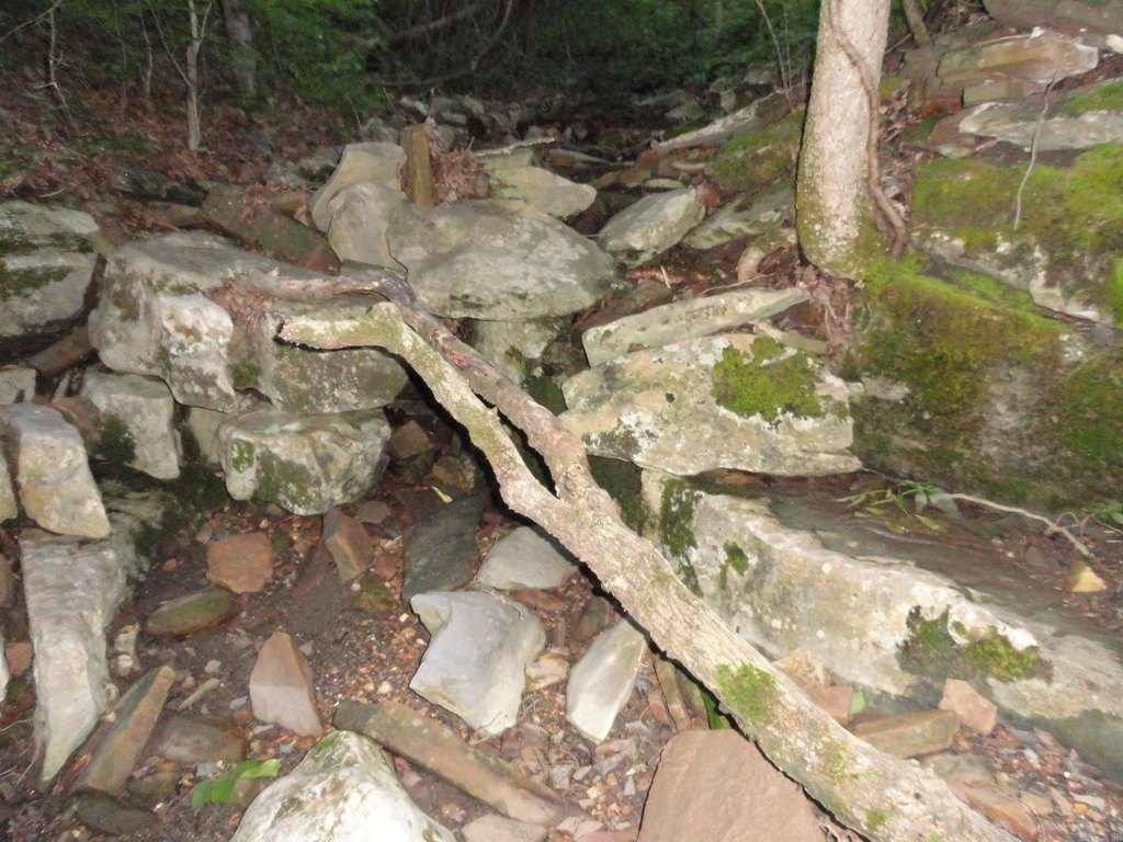 Picture 32