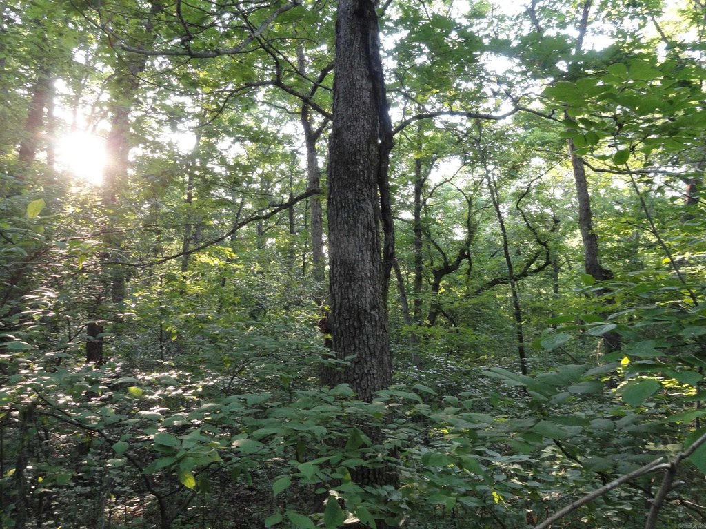 Picture 8