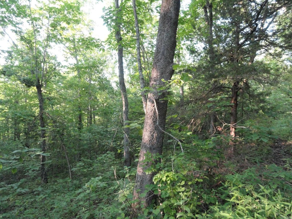 Picture 6
