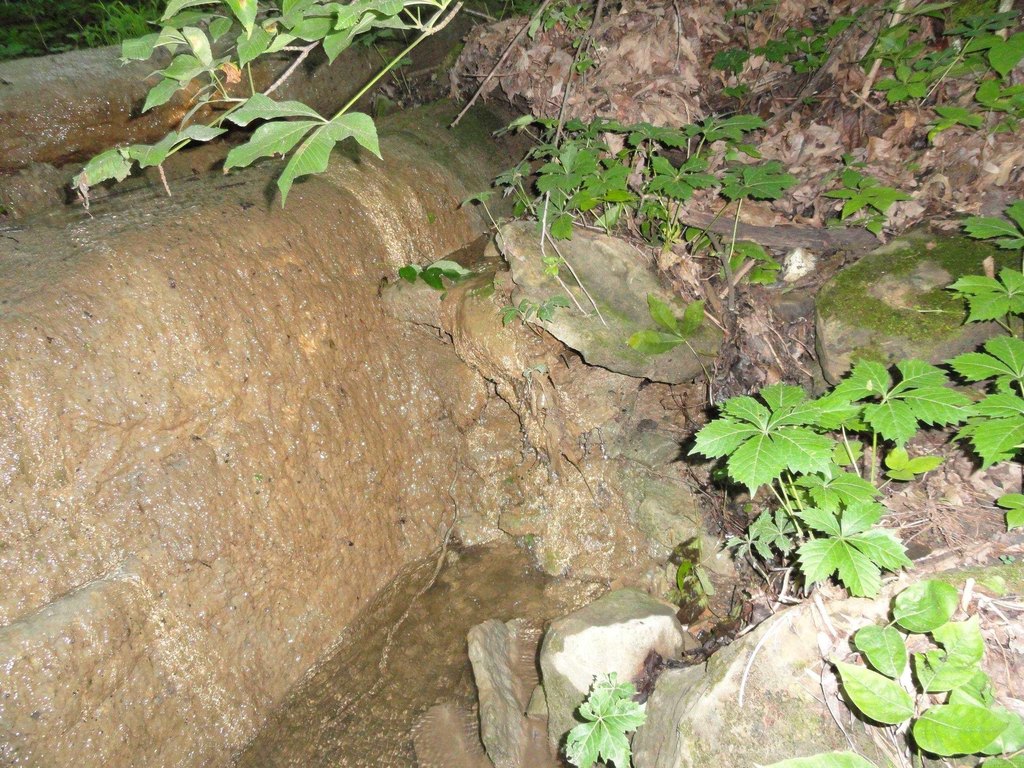 Picture 18