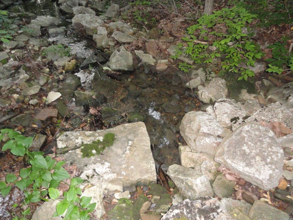 Picture 24