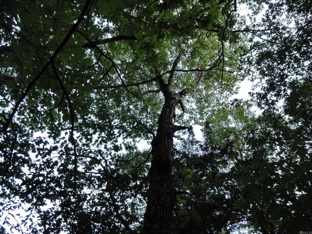Picture 30