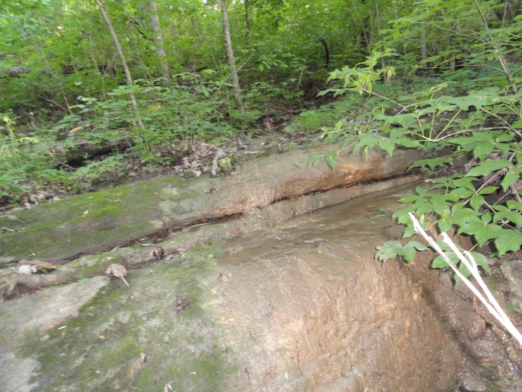Picture 17