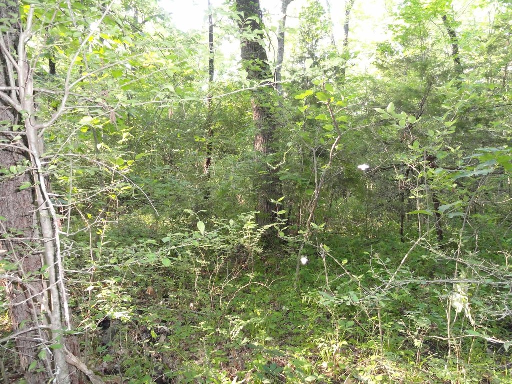 Picture 2