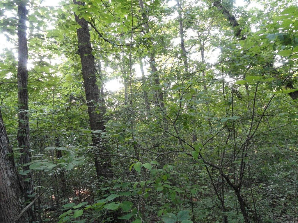 Picture 9