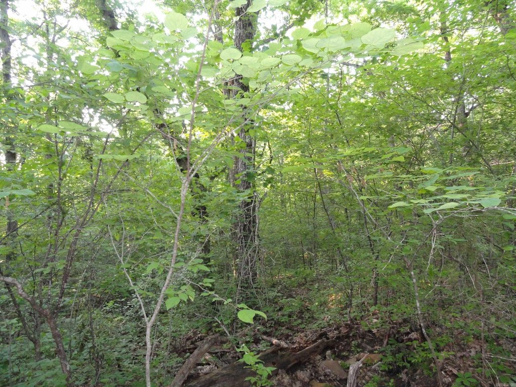 Picture 10