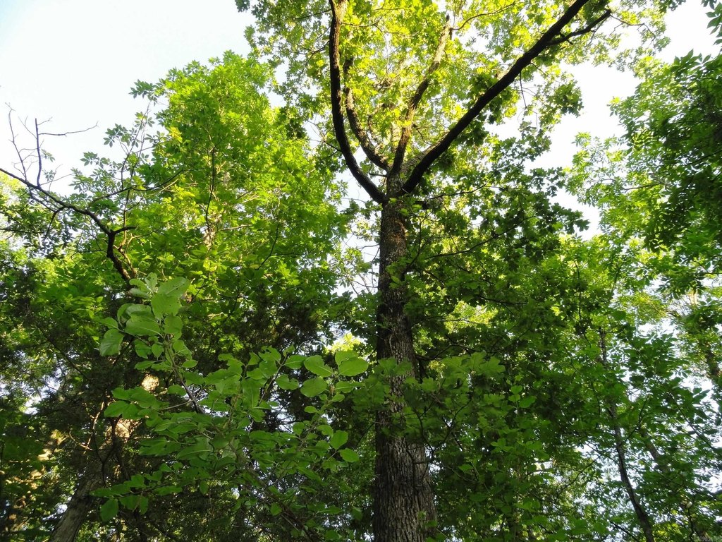 Picture 16