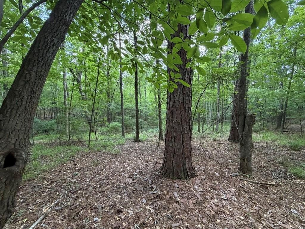 Picture 17