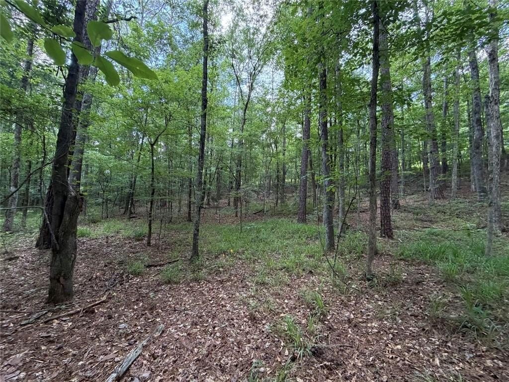 Picture 16