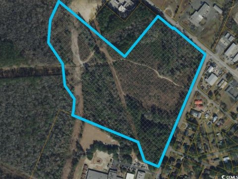 Highway 501 Business Land