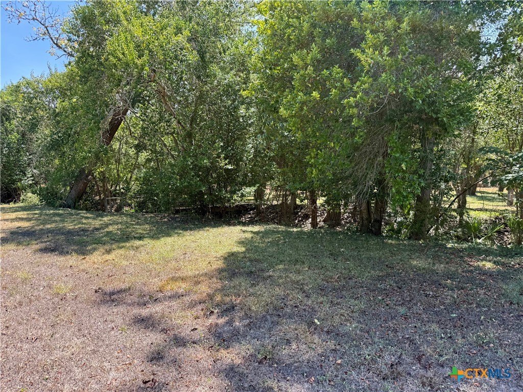 Picture 2