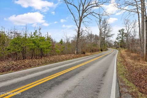 Lots & Acreage, Deer Lodge, TN