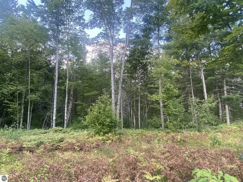 BALDWIN, MI