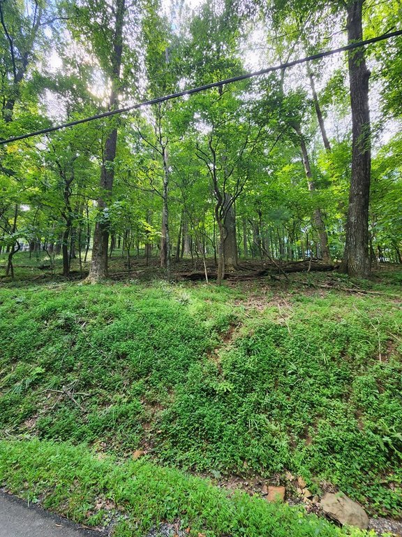 Picture 8