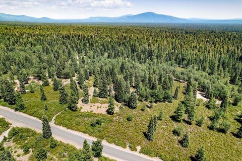 McCloud Land Parcel For Sale