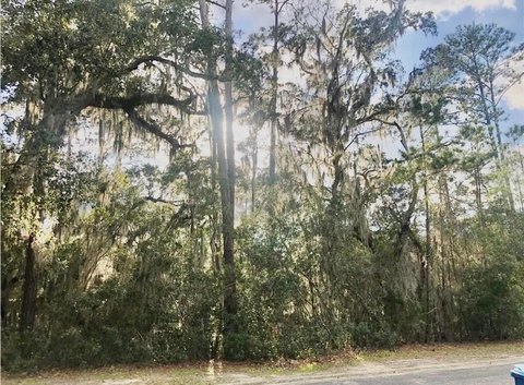 Residential Cul-de-Sac Home Lot
