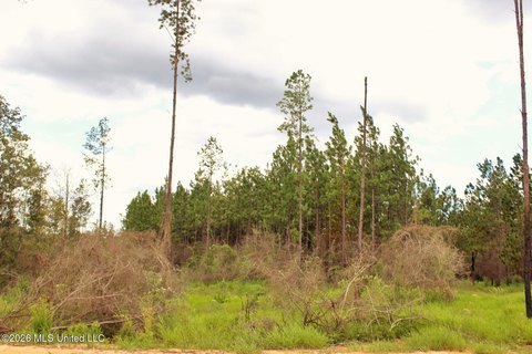 LAND - Lucedale, MS