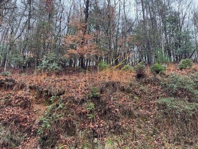 Residential Lot in Gated Community