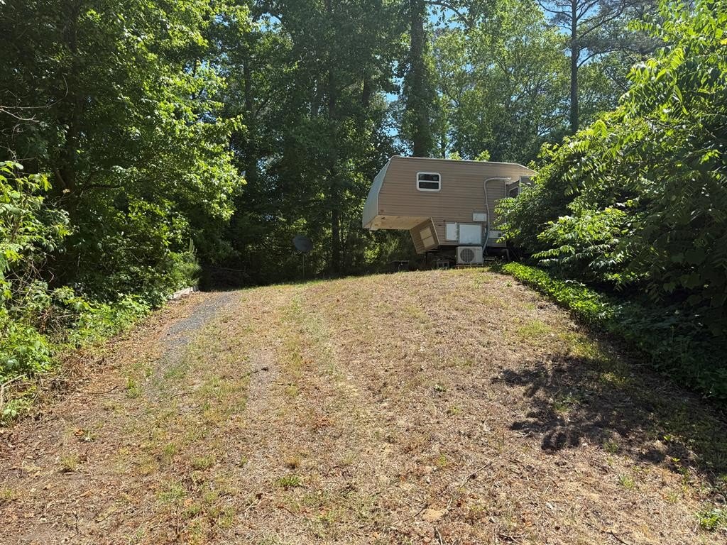 Picture 5