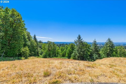 Skyline Blvd Acreage with Views