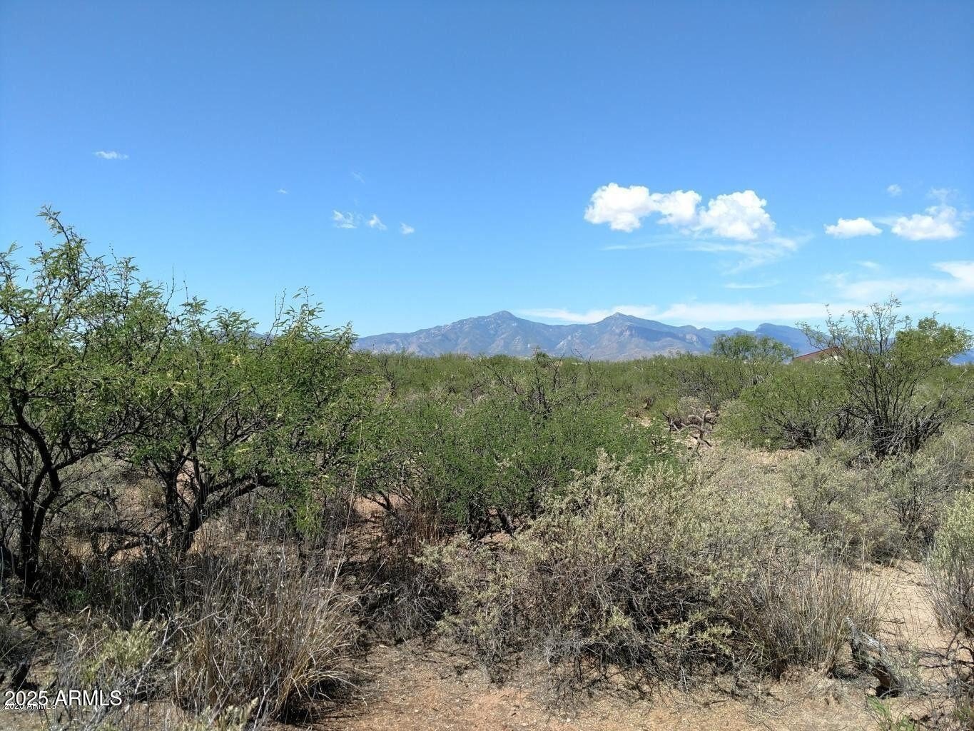 Land with Mountain Views