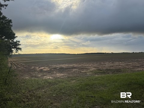 Wooded and Open Agricultural Land