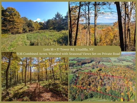 Land, Unadilla, NY