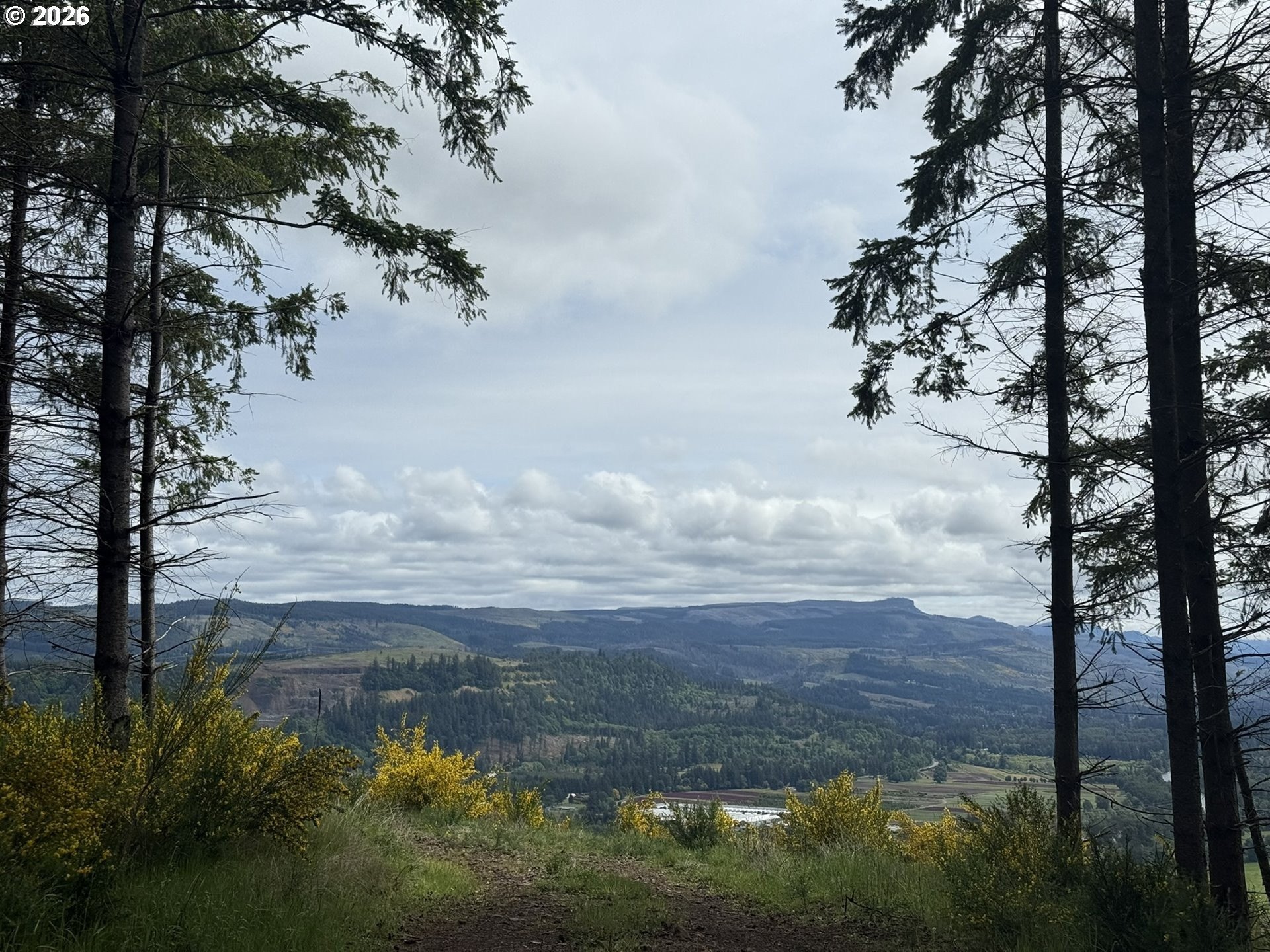 Expansive Land with River Views