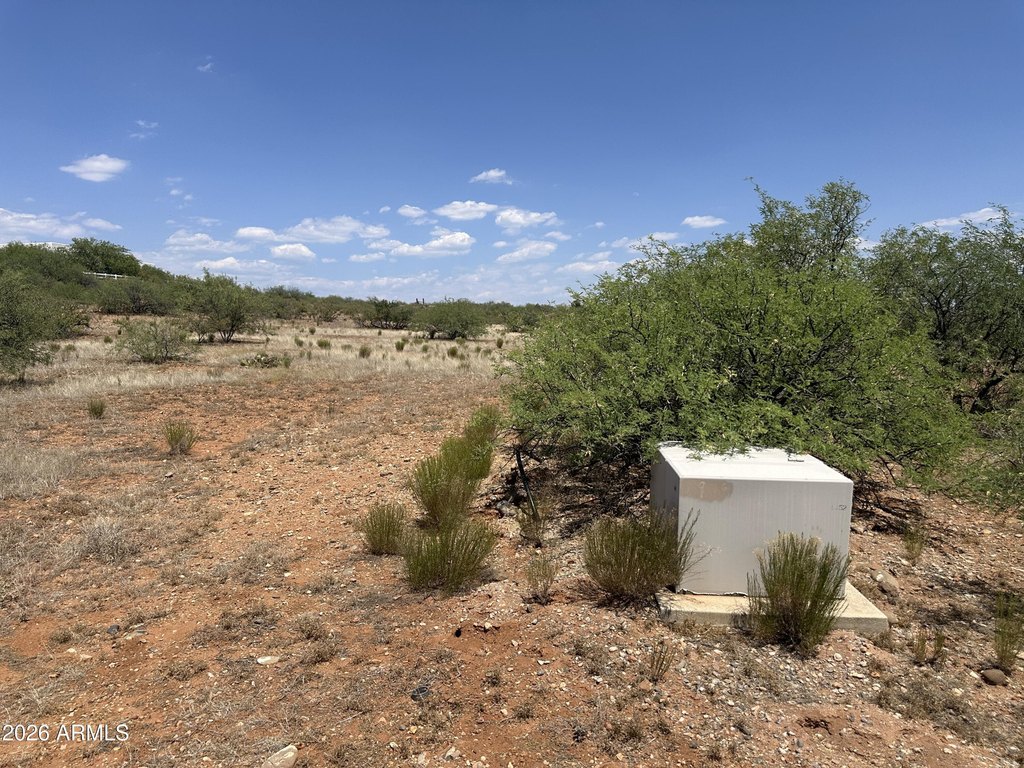 Picture 27