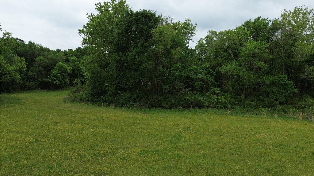 Picture 13