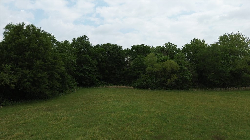 Picture 17